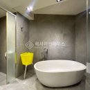 디자인플러스