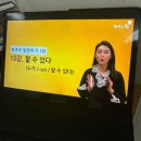 영포자 탈출기 | 영어회화 왕초보 탈출기! 처음 시작하기 좋은 강의 추천