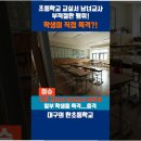 대구초등학교 - 강진군 | 대구초등학교