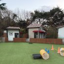 애견하우스 | 담양 애견동반펜션 슈트라하우스 대만족후기 (원룸-101호)