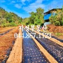 연서면사무소 이미지