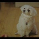 설탕하우스