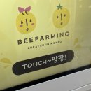 해안로 249번길 | 목포로 슝💨💨