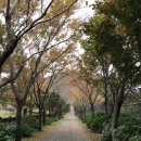 노루공원화장실 이미지