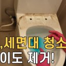 변기 화장실 청소, 소변때 없애는 방법? 식초, 콜라, 매직, 린스, 베이킹 소다, 등, (락스, 염산,) 이미지