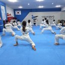 서울 은평 태권도 | 은평구 성인 태권도장 찾으시면 여기로 오세요! 리얼 찐 후기.