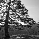 용천리 오층석탑 이미지