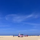 신전목장 | [나트랑 여행] 광활한 사막과 이색적인 코스, 하루를 가득 채운 판랑 투어 솔직 후기