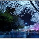 무지갯빛 이미지