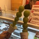 토고리옛날막창소갈비살덕소점 이미지