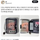 모든 것은 마음이 만든다
