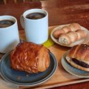 백림사 | 단풍 없는 단풍놀이 후기