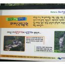 소금강자동차야영장 이미지