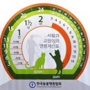 강남25동물병원 이미지
