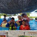 본도시락옥계점 이미지