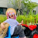 시립은계파크자이어린이집 이미지