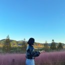 신소양체육공원1 이미지