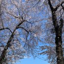 금산정미소 이미지