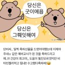태양을 피하는 완벽한 방법