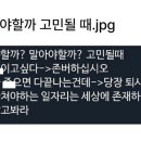 피즈소셜클럽