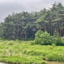 장풍숲입구 이미지