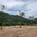 돌고래 오토 캠핑장 이미지