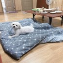 해남베스트펜션 이미지