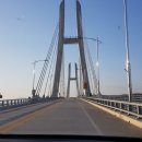 완도 고금도 지석묘군 | 강진에서 일주일 살기: 고금도 고인돌공원과 신지도 명사십리