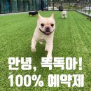 안녕 똑독아 이미지