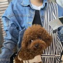 상궁목장 이미지