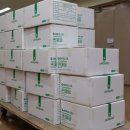 가톨릭덴탈 이미지