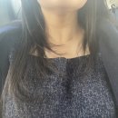 사진이 약 200장 들어있는 일기