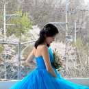지혜헤어 | [28주] 바닐라페이퍼 만삭촬영 후기 / 오르네먼트 / 지혜이모님 / 모이헤어메이크업 / 플라워디렉팅 X