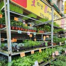 봄농약사 이미지