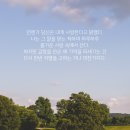 아구아비바