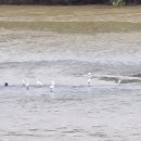 대전둘레산길(6구간) 이미지