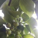 우경농장 이미지