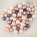 진주강(pearl*) 네이버블로그