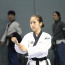 태권도 대한체육관 이미지