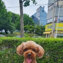 한전사거리 이미지