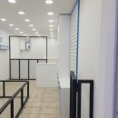 멍멍이발소 이미지