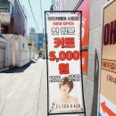 에리카 헤어 시청점