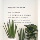 나눌헤어 목동점 | [오목교 미용실] 나눌헤어 목동점