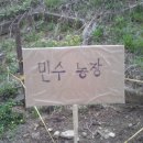 민수 농장 이미지