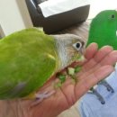 사온누리 이미지