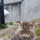 봉녀네반찬가게 이미지