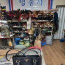 주안수선 이미지