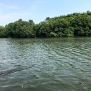 용대리낚시터 이미지