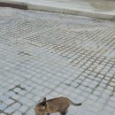 도장포어촌체험휴양마을 이미지