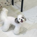 하떼하떼 이미지